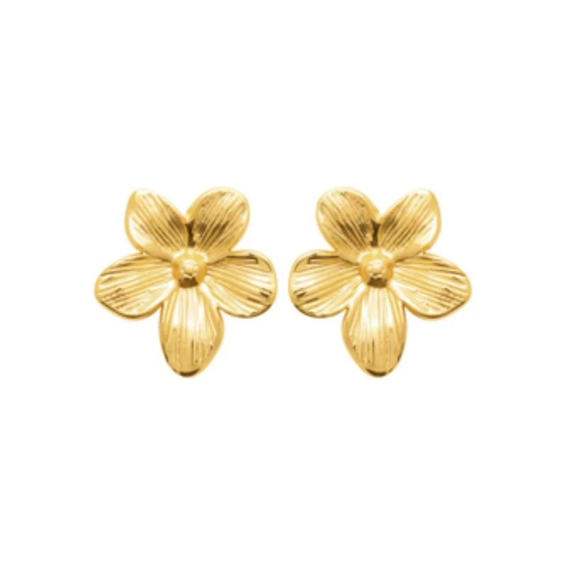 Boucles d'Oreilles Acier doré - 29006118