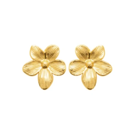 Boucles d'Oreilles Acier doré - 29006118