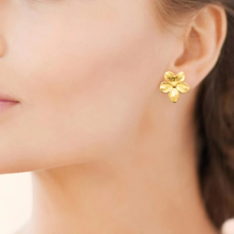 Boucles d'Oreilles Acier doré, portées