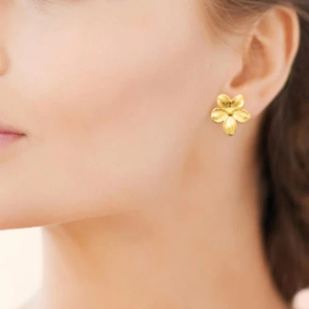 Boucles d'Oreilles Acier doré, portées