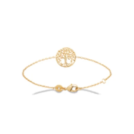 Bracelet Plaqué Or 750 3Mic 18cm