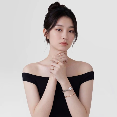 Montre Daniel Wellington - Quadro Mini Arch 3-Link Two Tone Rose Gold