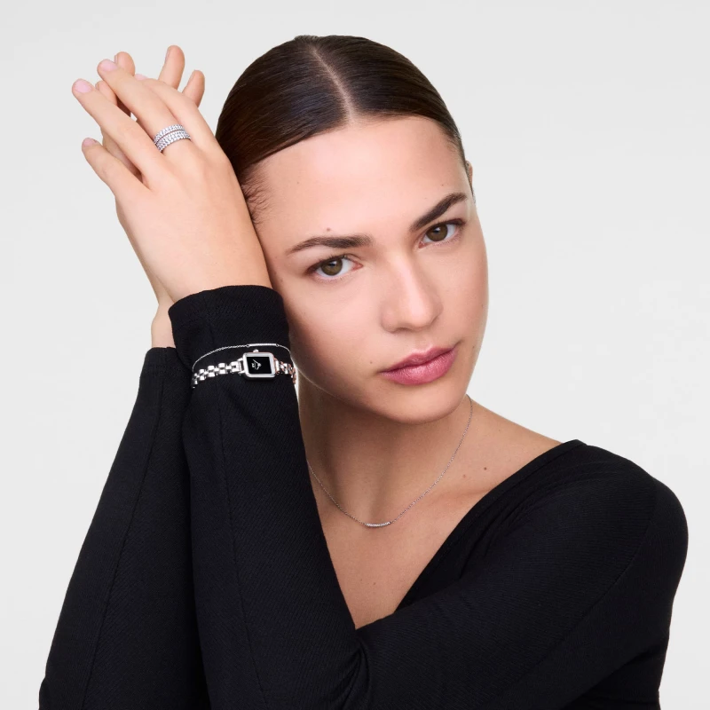 Montre Daniel Wellington - Quadro Mini Arch 3-link Onyx Sunray Silver