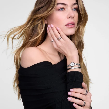 Montre Daniel Wellington - Petite Mini Arch 3-link White Silver - 19mm