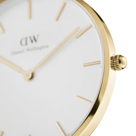 Montre Daniel Wellington - Petite Evergold - 32mm