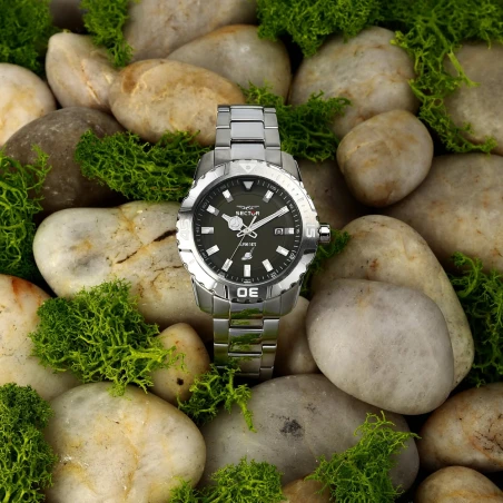 Montre Sector - Legend - Argent - R3253135004