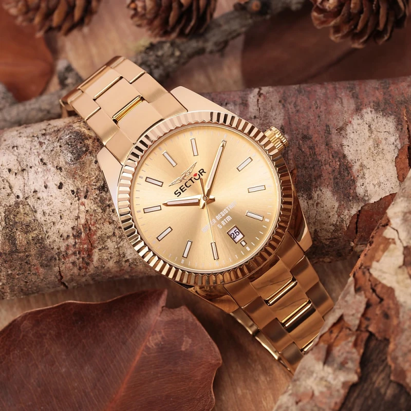 Montre Sector - 240 - Multifonction - Or - R3253240026