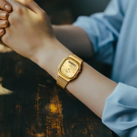 Montre Casio - Vintage - AQ-240EG-9AEF