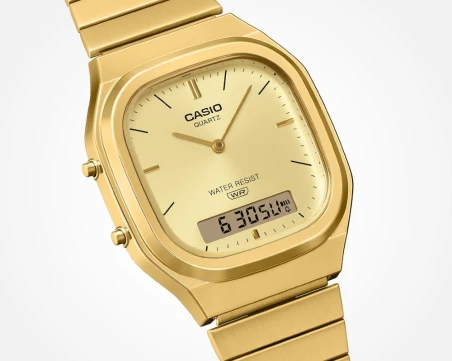 Montre Casio - Vintage - AQ-240EG-9AEF