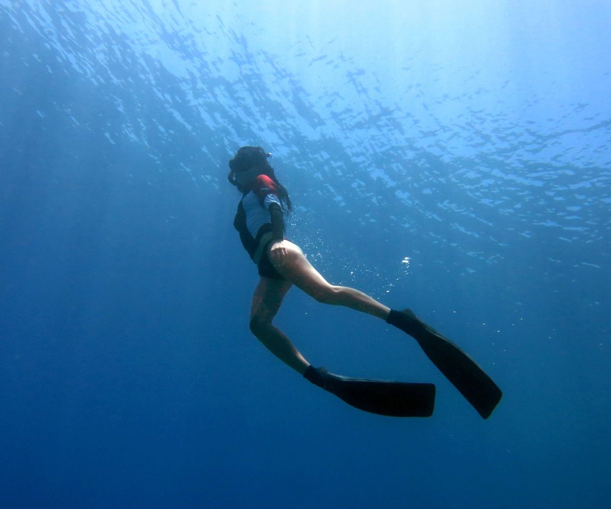 A freediver in a wetsuit descending into the blue water—embodying Sector’s “No Limits” spirit